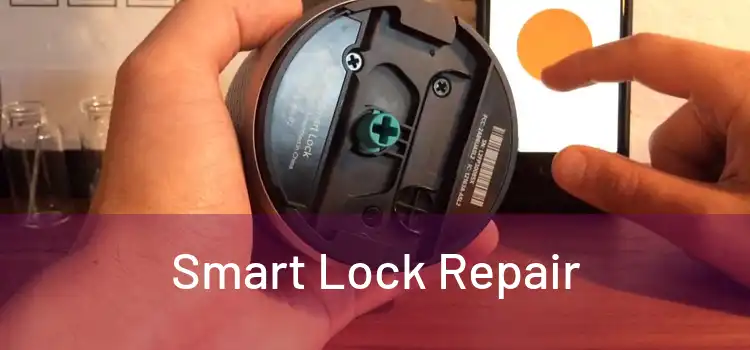  Smart Lock Repair 